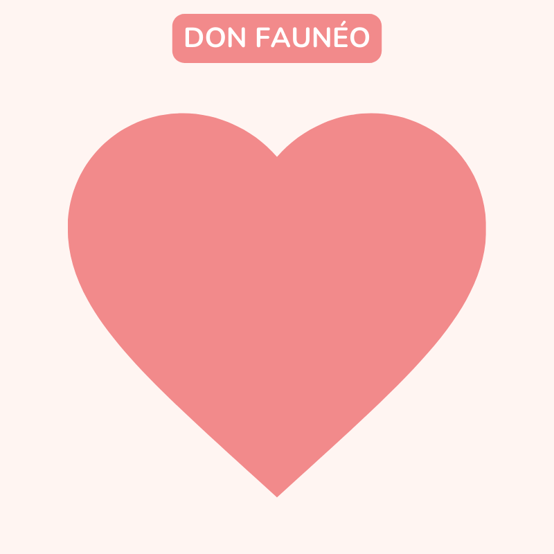 Don Faunéo