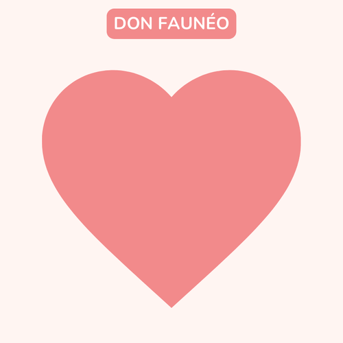 Don Faunéo