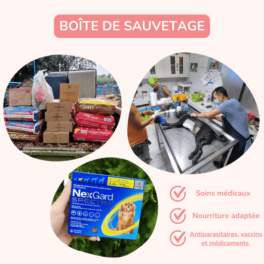 Boîte de sauvetage