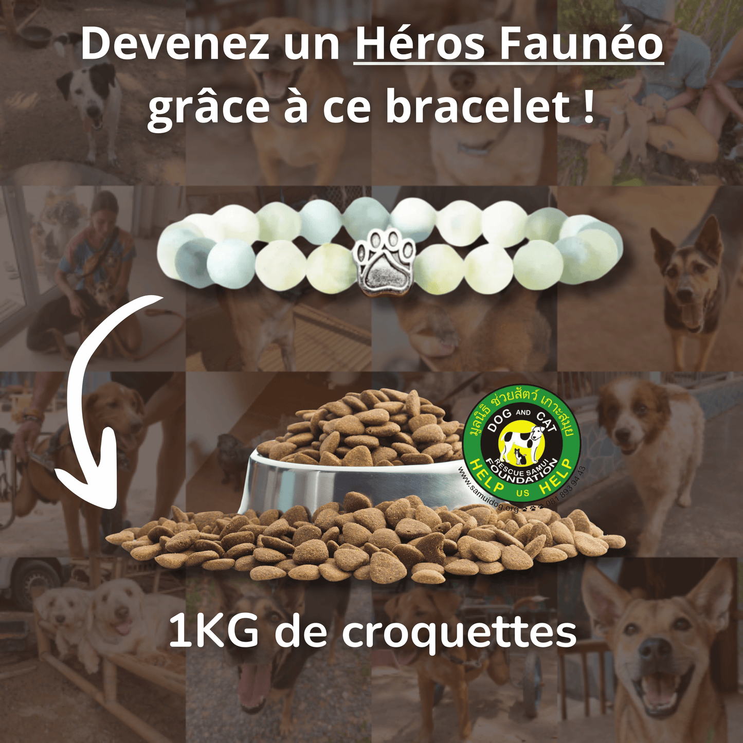 Bracelet Ami des Chiens