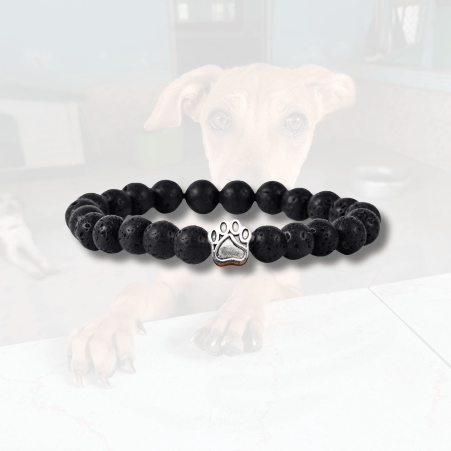 Bracelet Ami des Chiens