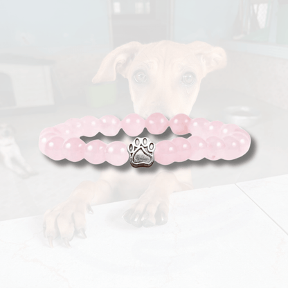 Bracelet Ami des Chiens