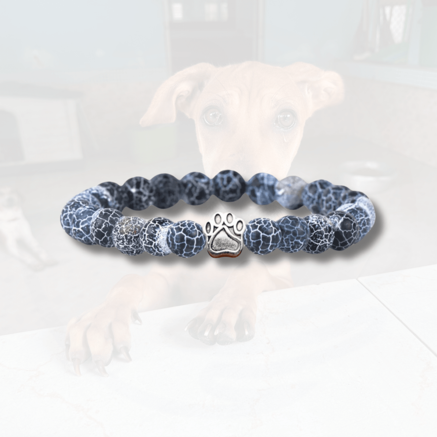 Bracelet Ami des Chiens