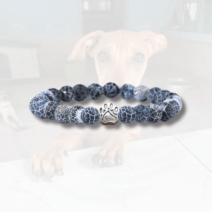 Bracelet Ami des Chiens