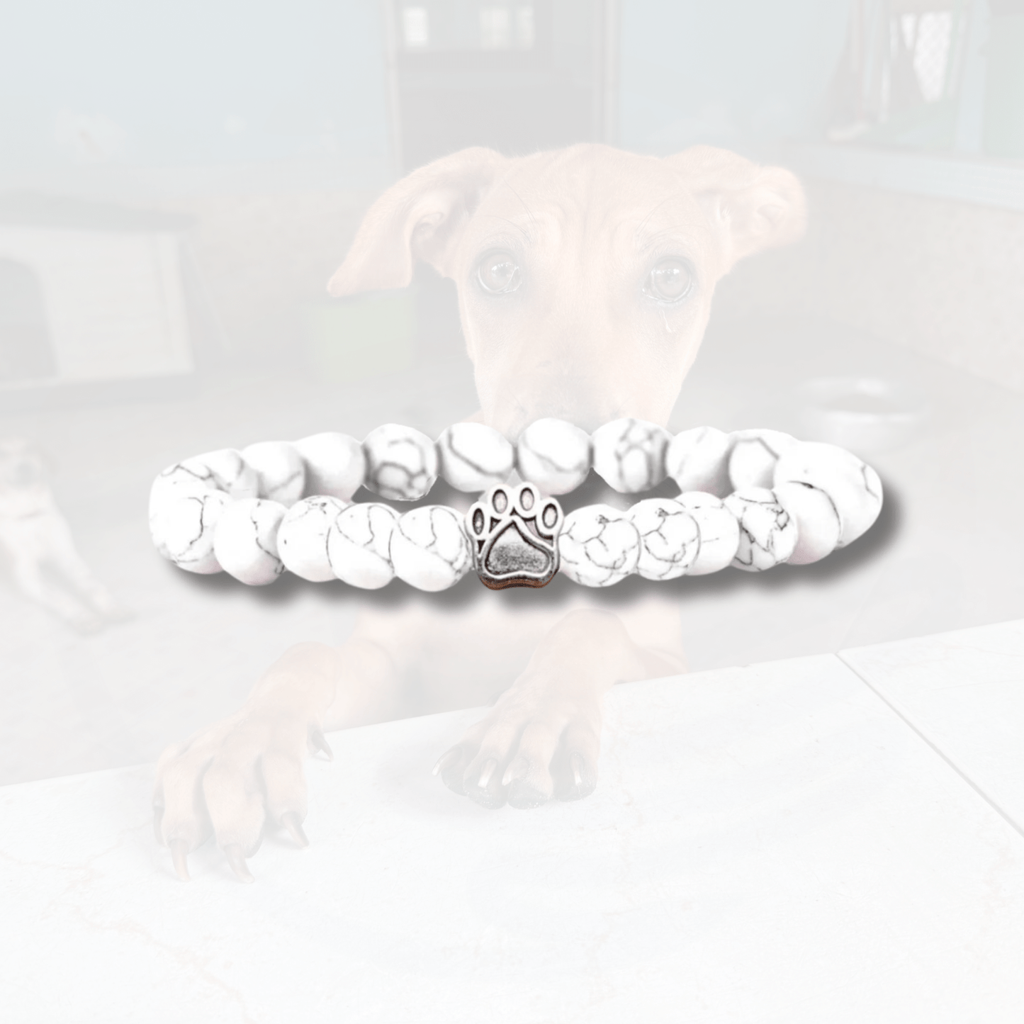 Bracelet Ami des Chiens